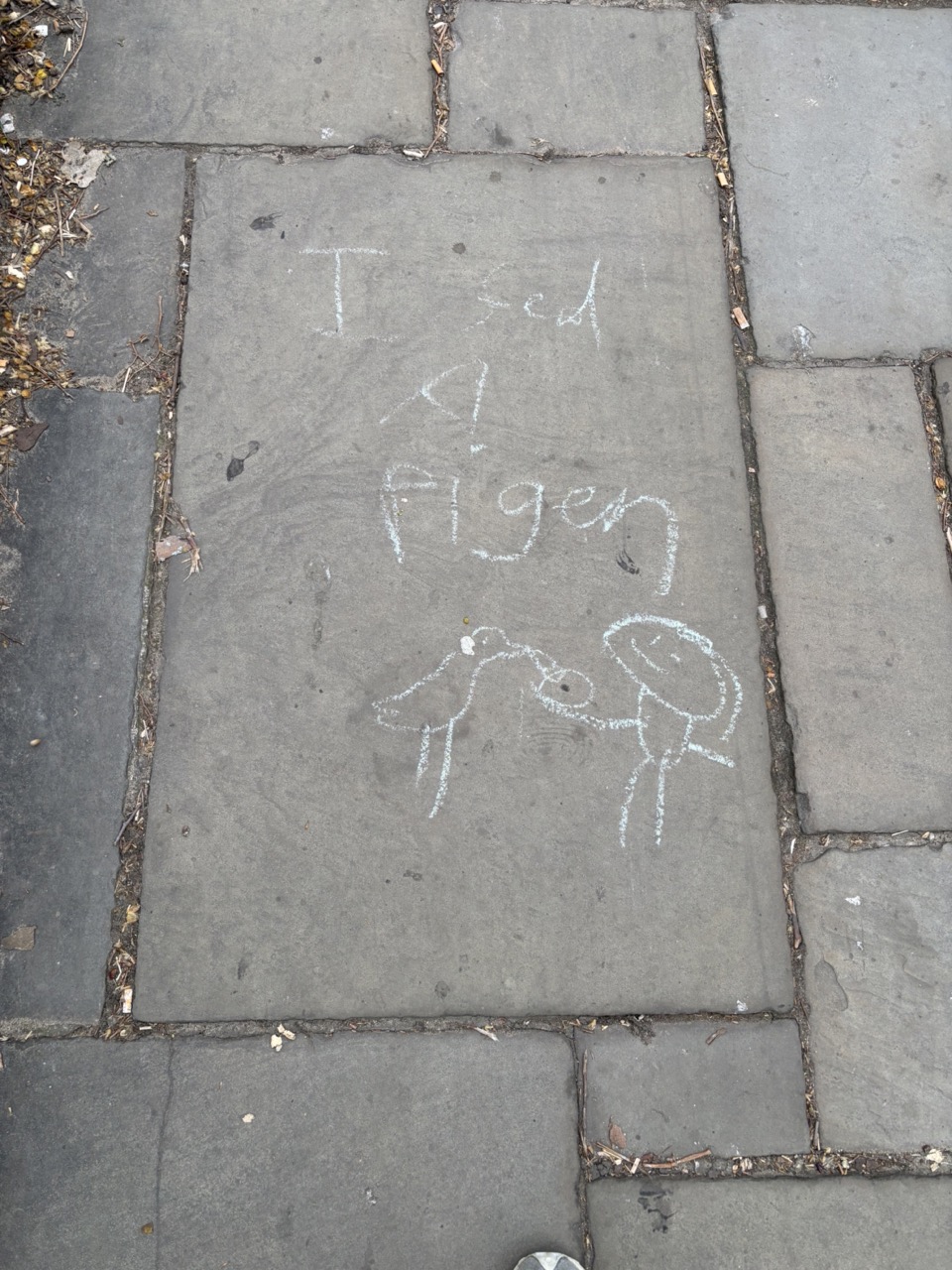 Photograph of a chalk drawing on flagstones, figure feeding a bird drawn beneath writing 'I fed a pigen'